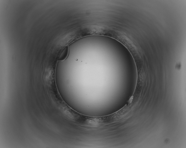 X0000098050079200803281504