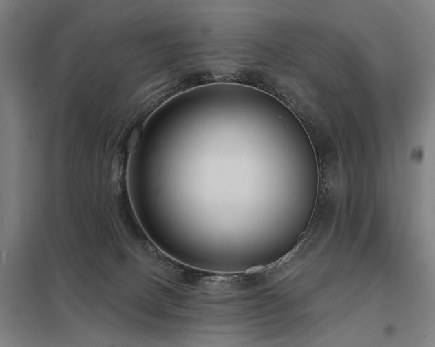 X0000098050082200803281505