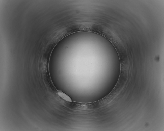 X0000098050083200803281505