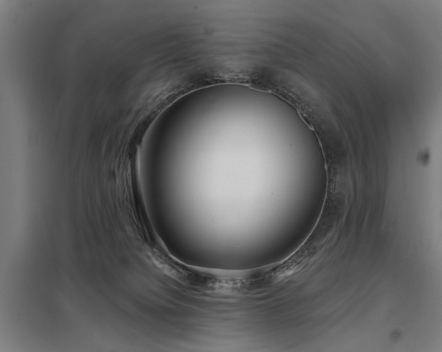 X0000098050084200803281505