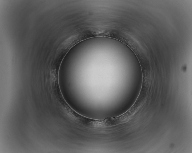 X0000098050085200803281505