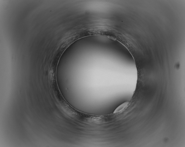 X0000098050086200803281505