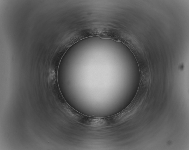 X0000098050087200803281505