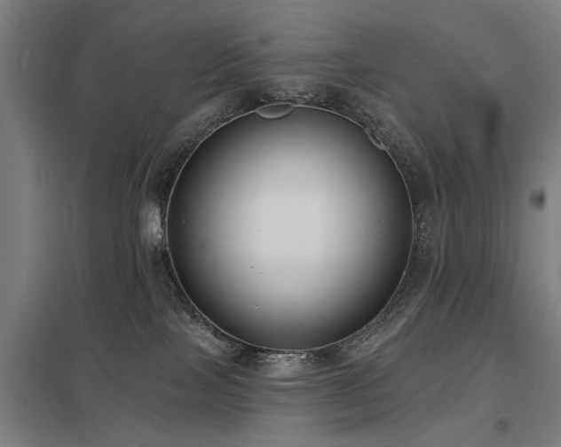 X0000098050089200803281505