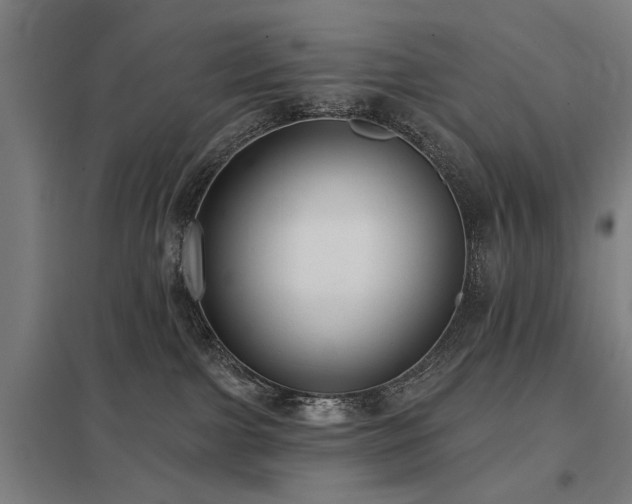 X0000098050091200803281505