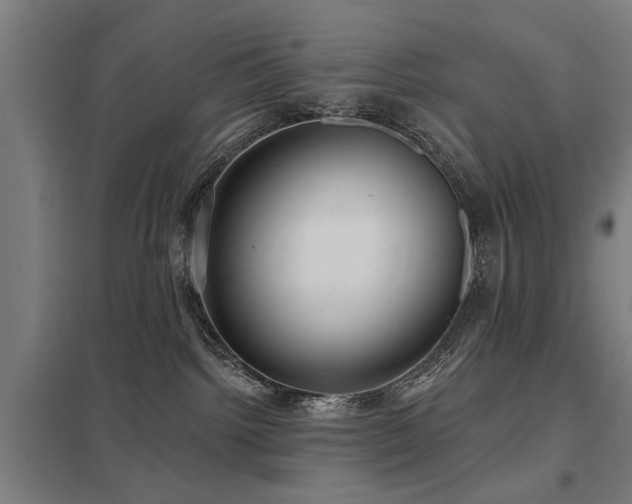 X0000098050092200803281505