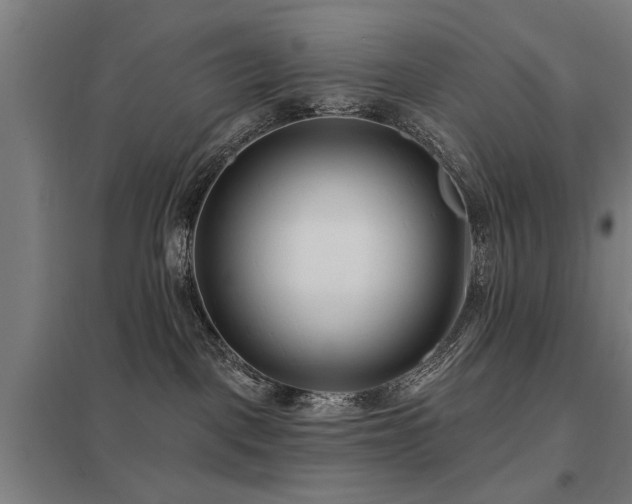 X0000098050093200803281505