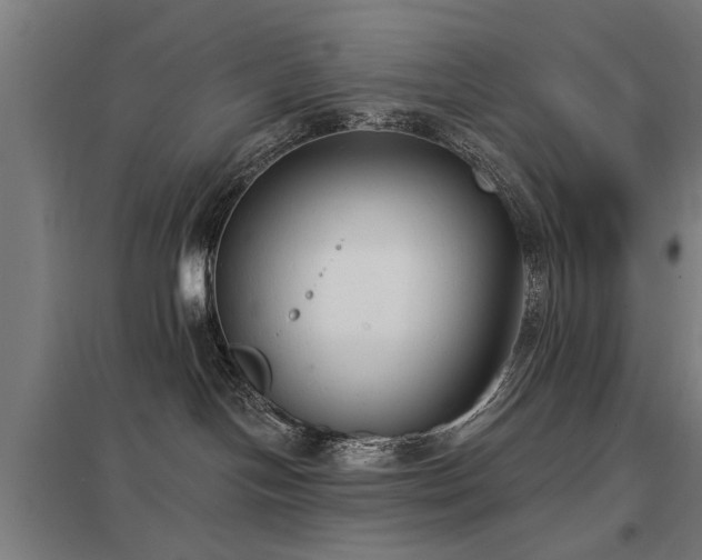 X0000098050094200803281505