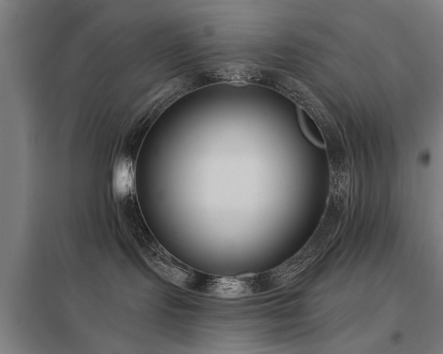 X0000098050095200803281505