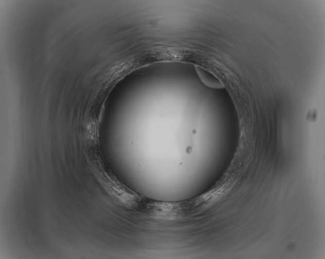 X0000098050096200803281505