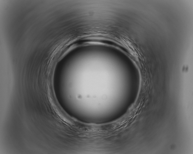 X0000098050097200803281504