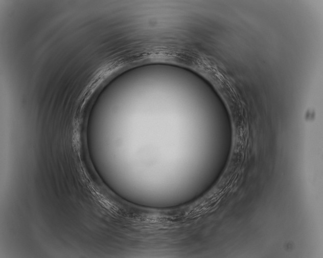 X0000098050098200803281504