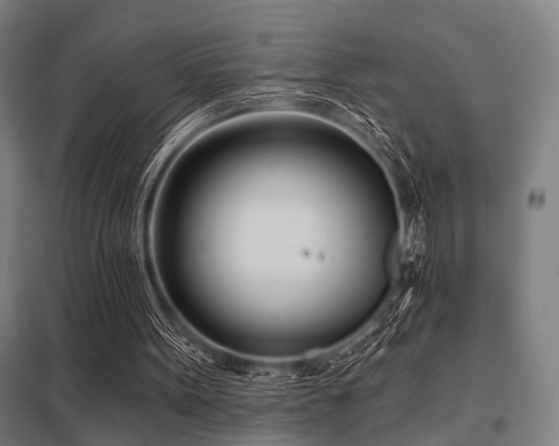 X0000098050099200803281504