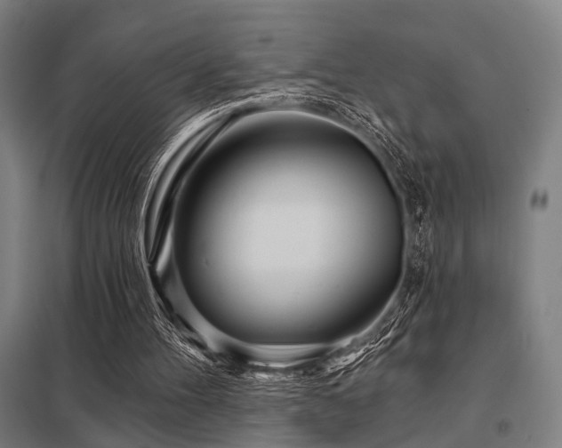 X0000098050100200803281504