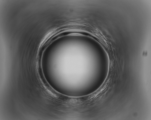 X0000098050101200803281504