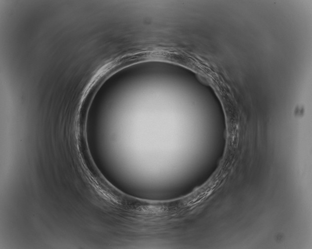 X0000098050102200803281504