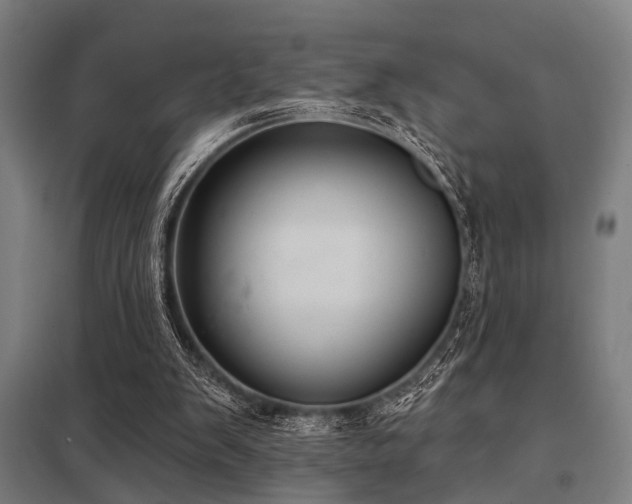 X0000098050103200803281504