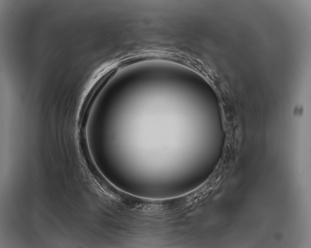 X0000098050104200803281504