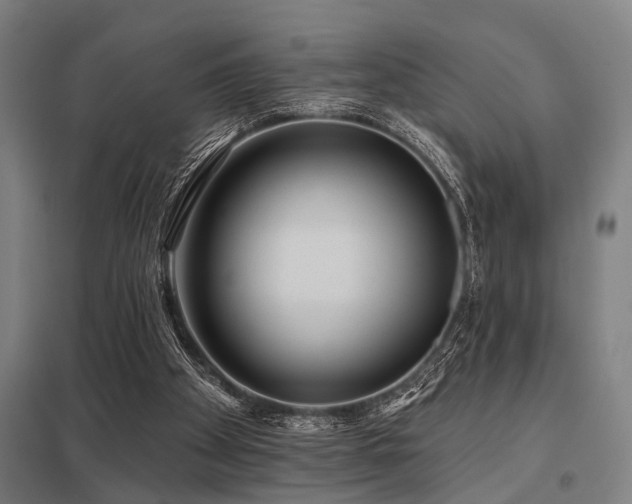 X0000098050105200803281504