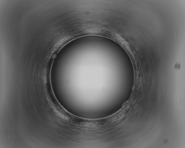 X0000098050106200803281504