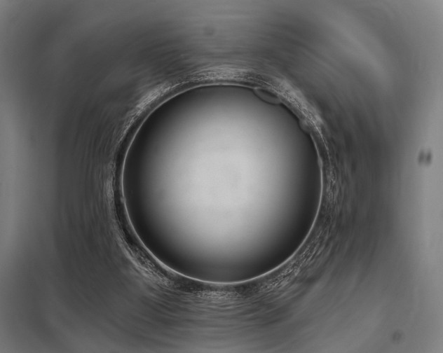 X0000098050107200803281504