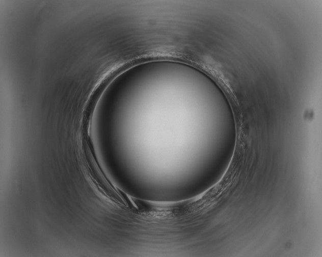 X0000098050108200803281504