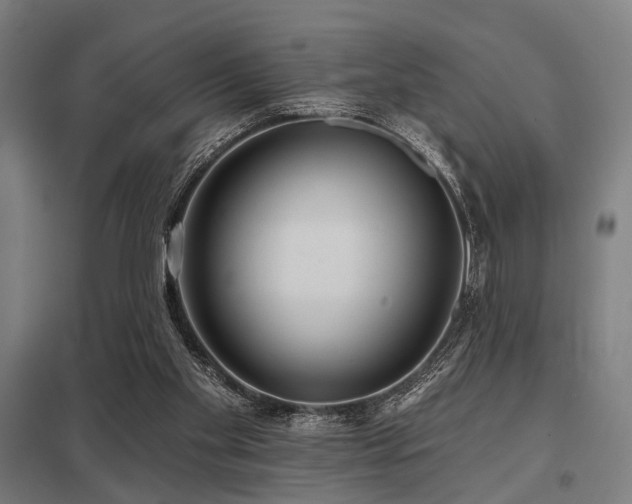 X0000098050109200803281504