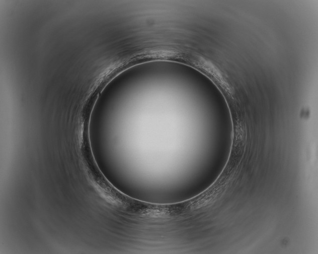 X0000098050110200803281504