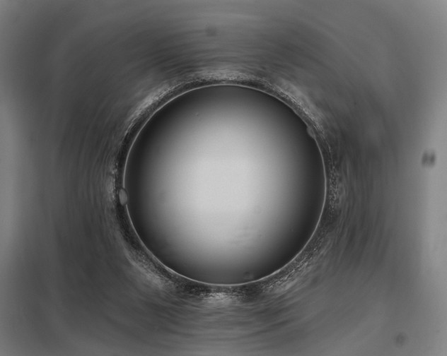 X0000098050111200803281504