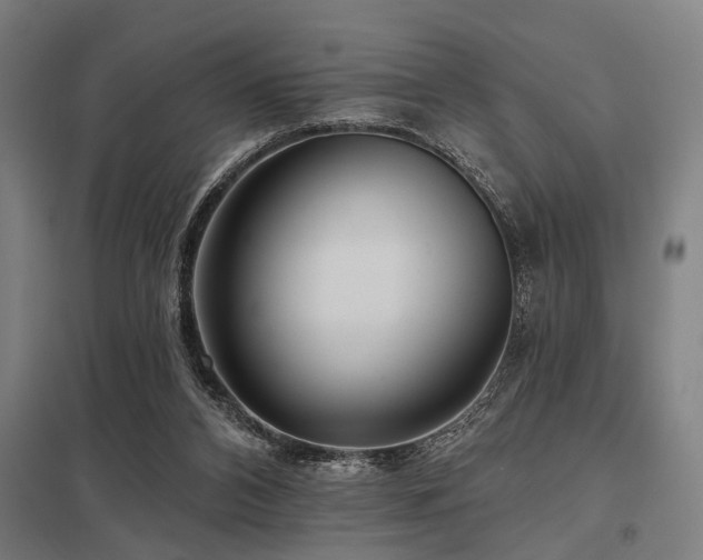 X0000098050112200803281504