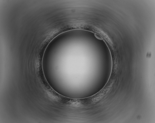 X0000098050113200803281504