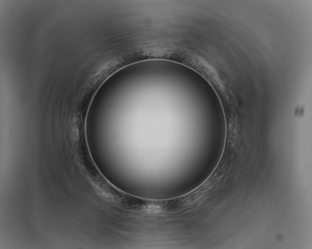 X0000098050114200803281504