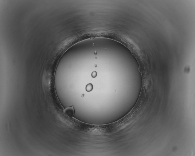 X0000098050115200803281504