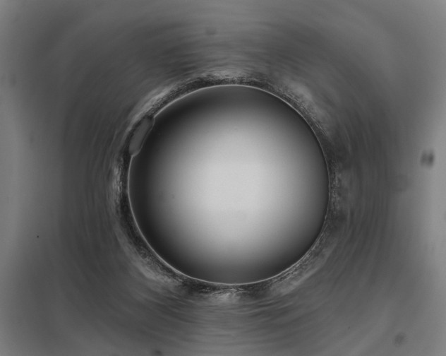 X0000098050116200803281504