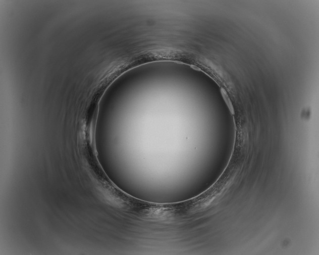 X0000098050117200803281504