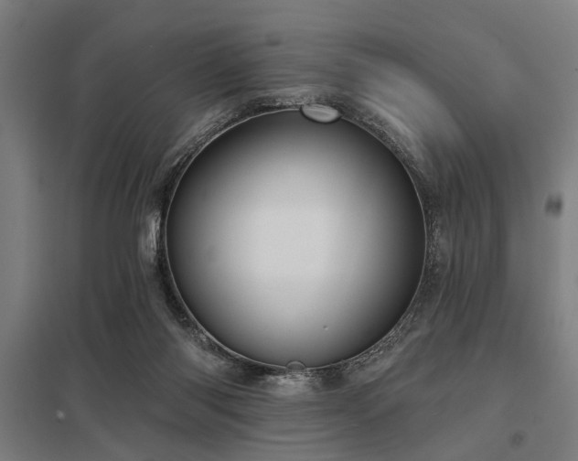 X0000098050118200803281504