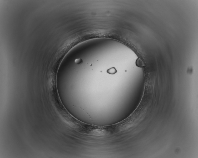 X0000098050119200803281504