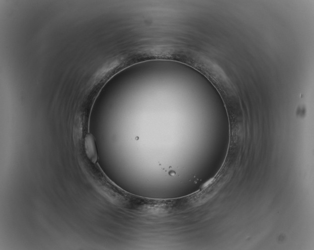 X0000098050120200803281504