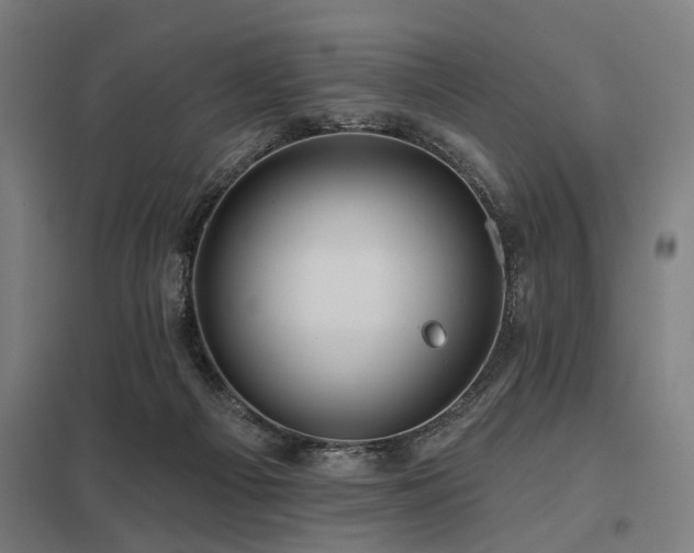 X0000098050121200803281504