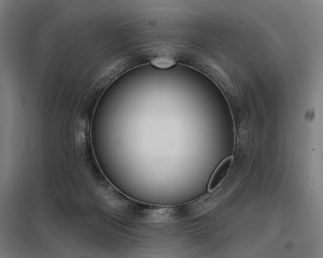 X0000098050122200803281504