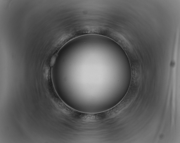 X0000098050123200803281504