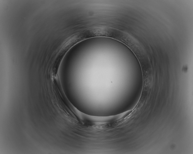 X0000098050124200803281503