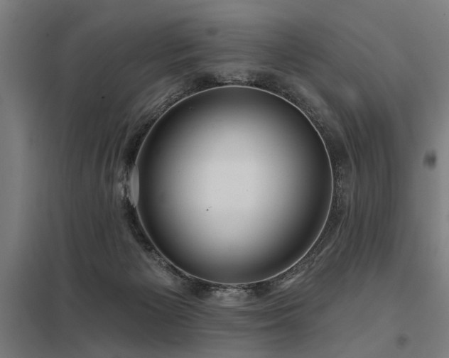 X0000098050125200803281503