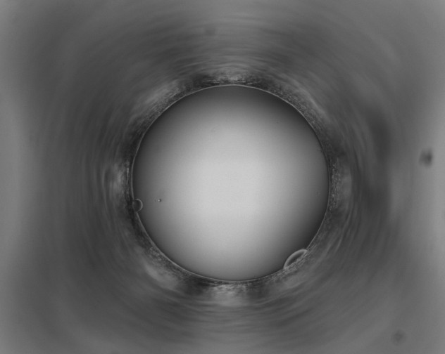 X0000098050126200803281503