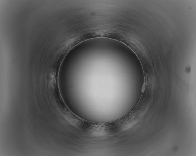 X0000098050127200803281503