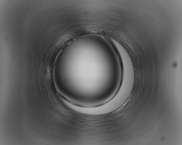 X0000098050128200803281503