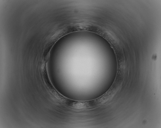 X0000098050129200803281503