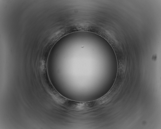 X0000098050130200803281503