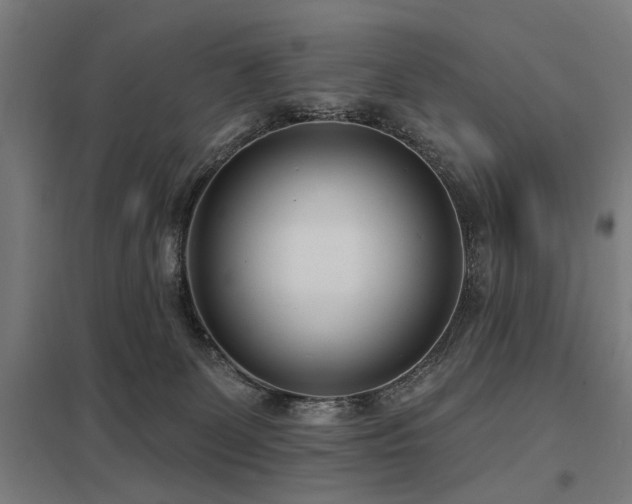 X0000098050131200803281503