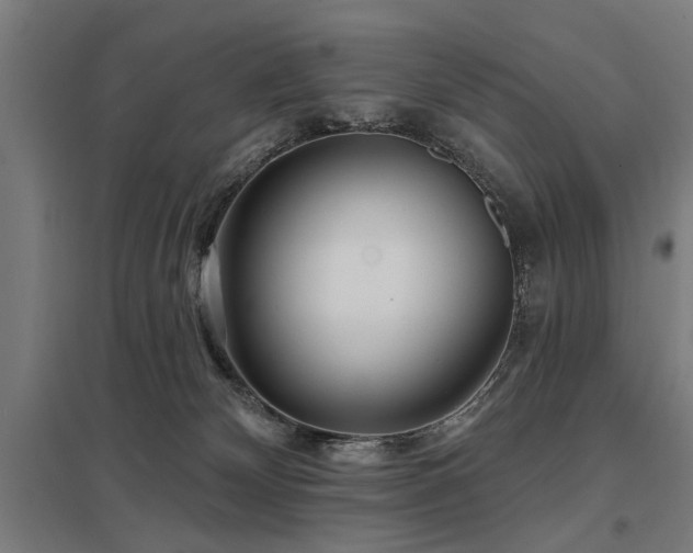 X0000098050132200803281503